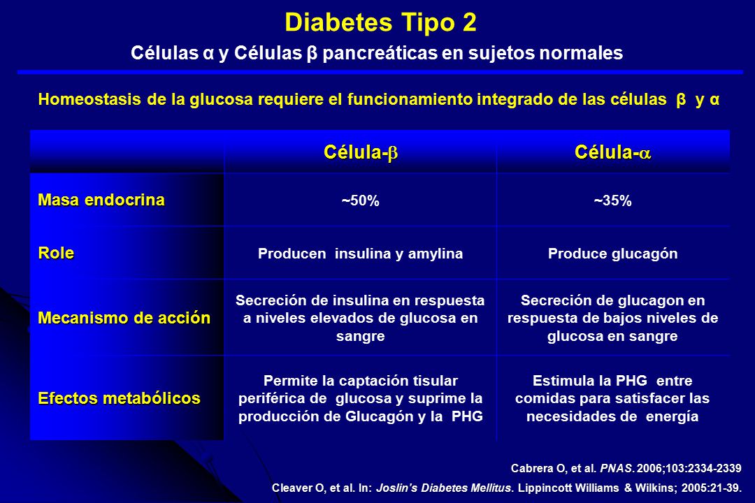 necesidades insatisfechas en diabetes